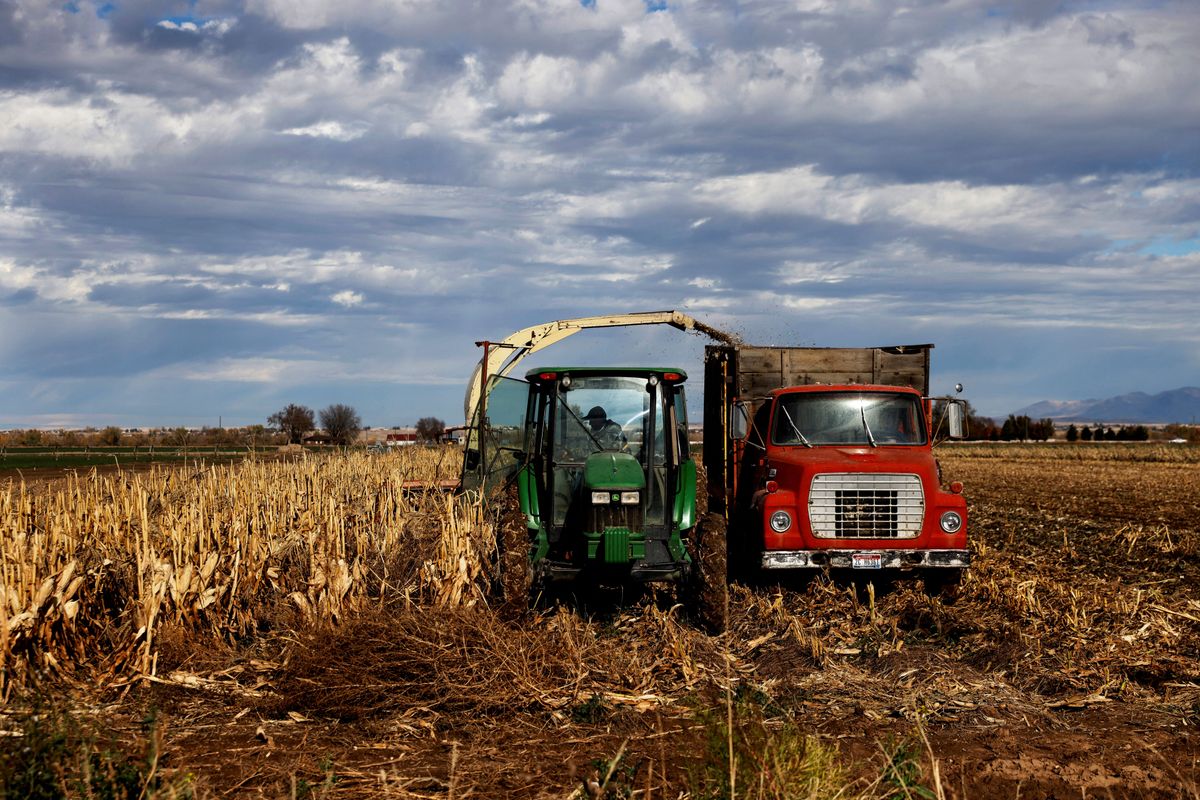 Idaho farm