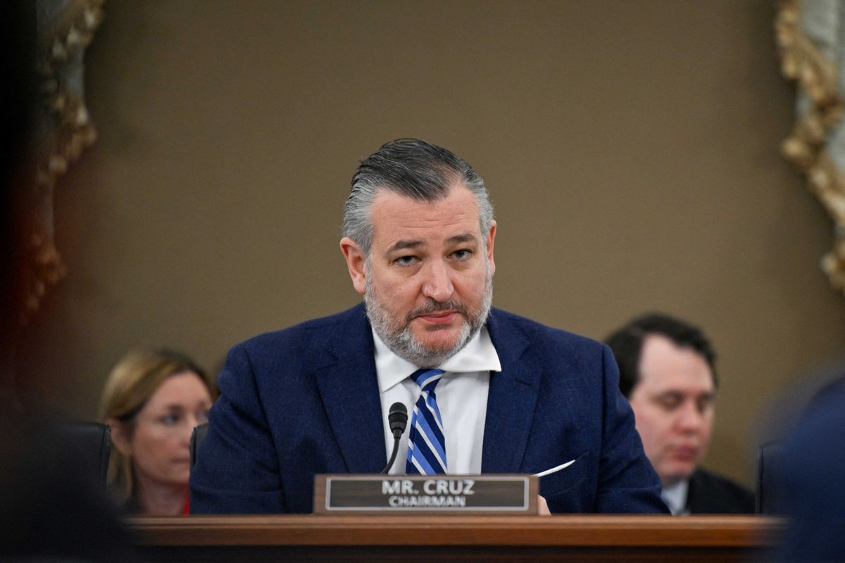 Ted Cruz's inadvertent admission on Fox News brutally mocked by observers