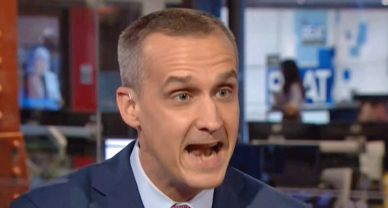‘You’re sounding very swampy’: Melber holds Corey Lewandowski’s feet to the fire -- as he flames out in hilarious interview
