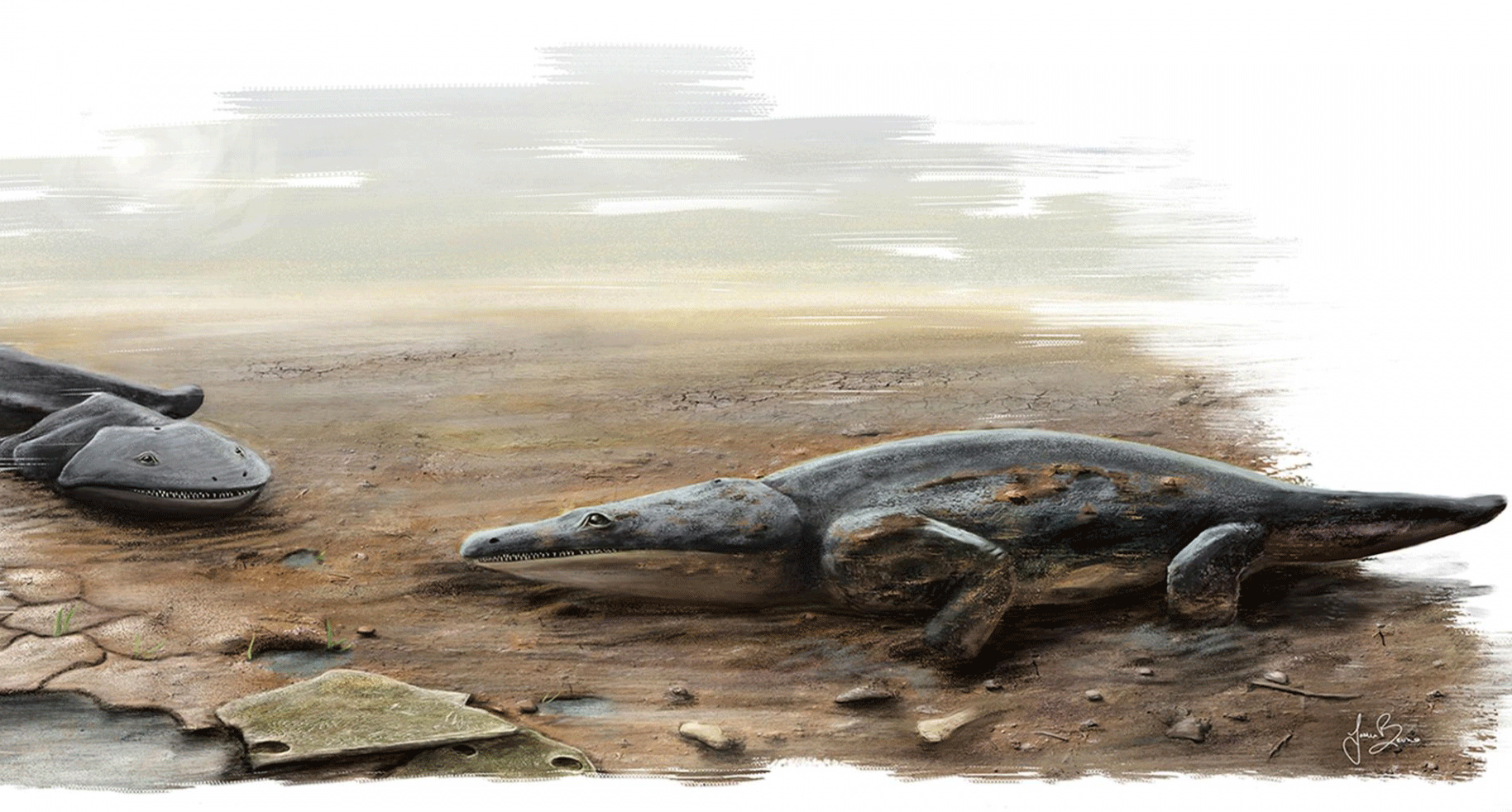 Fossil hunters discover new giant ancient predator Metoposaurus algarvensis