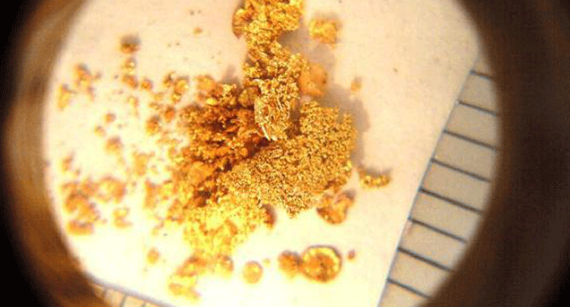 Scientists want to mine your poop for gold that could help save the planet