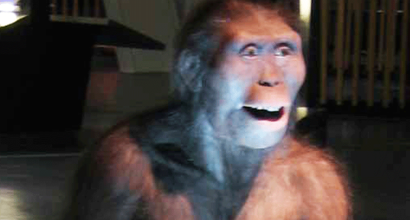 New find may dethrone Australopithecus 'Lucy' as the 'Mother of Mankind'