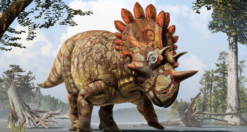 Meet 'Hellboy' -- a new species of dinosaur discovered in Canada
