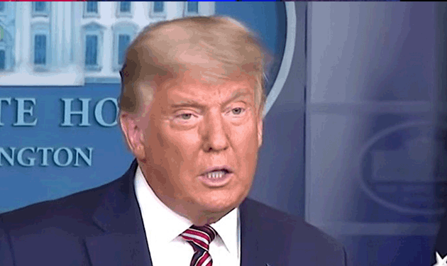 GOP senator knows Trump lost but thinks it would be 'political suicide' to admit it: report