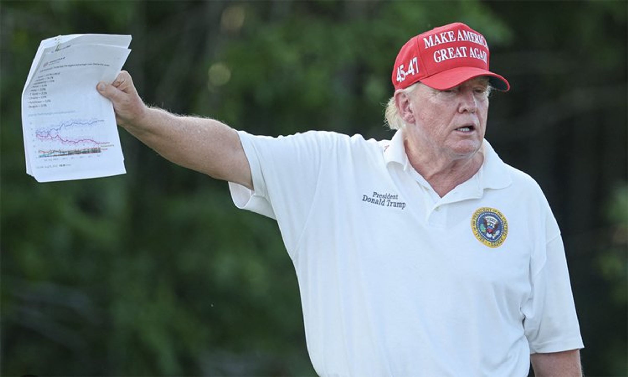 Another sign of dementia? Trump posts bizarre goose picture proving ‘golf is dangerous’ (rawstory.com)
