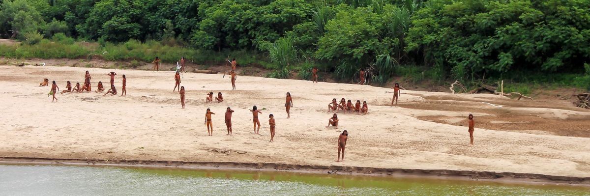 Sightings of uncontacted tribe spur calls to end logging in Peruvian Amazon