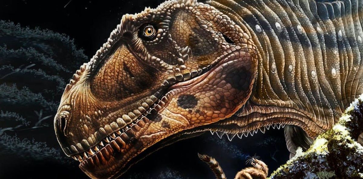 Big head, small arms: A newly discovered gigantic dinosaur evolved in a similar manner to Tyrannosaurus rex