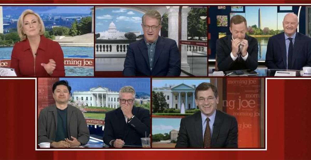 MS NOW panel loses it over report on RFK Jr raccoon mutilation: 'What is wrong with him?'