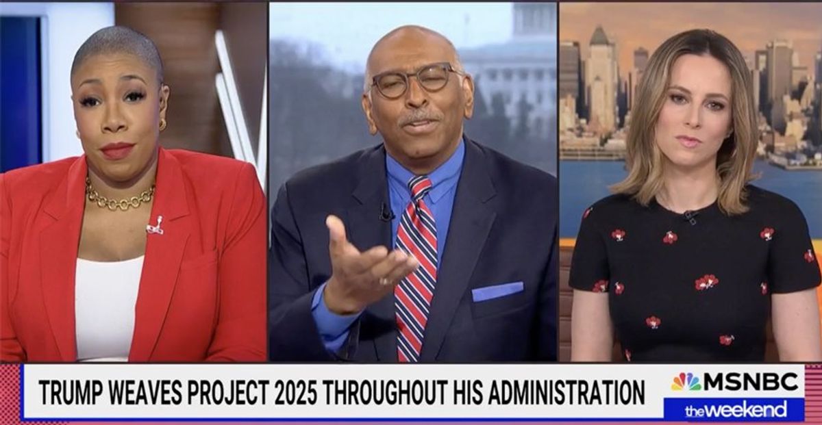 'I don't know what to tell you, boo': Michael Steele ridicules suckered MAGA fans