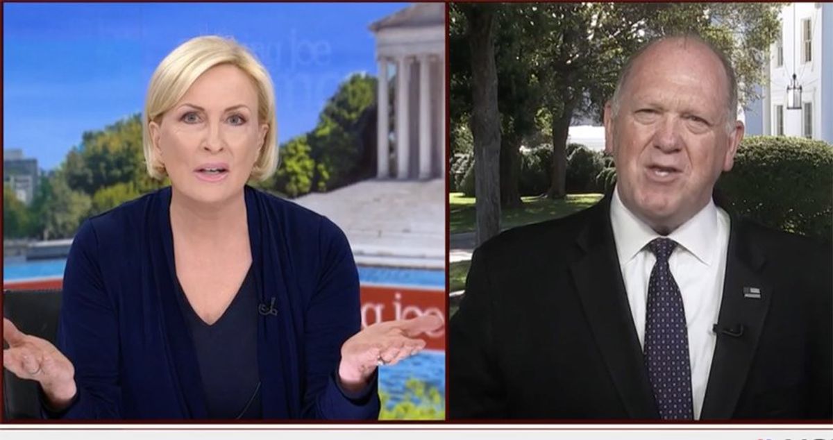 'That's why I'm asking you!' Mika Brzezinski pounces on Tom Homan for ducking questions