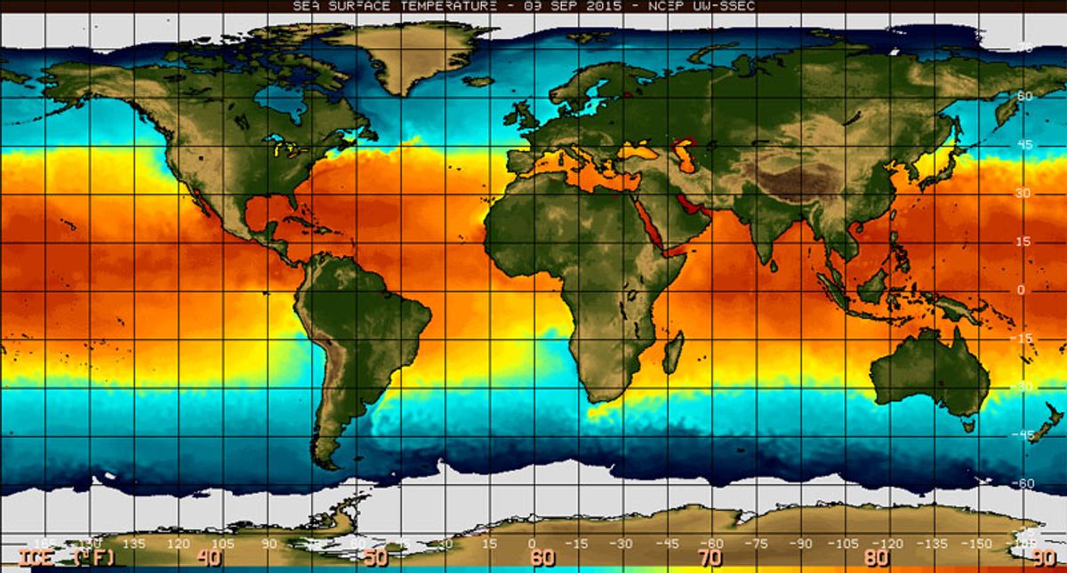 ‘Very strong’ El Niño to bring warmer winter — with scorching ocean water for marine life