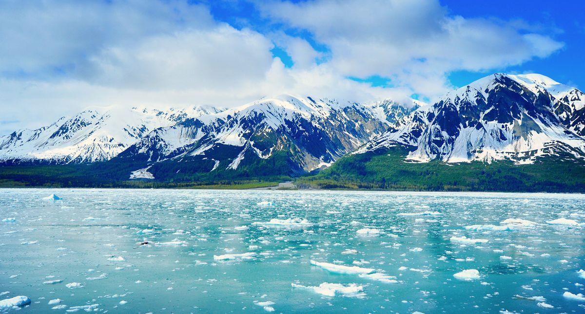 World's sea ice cover hits record low in February