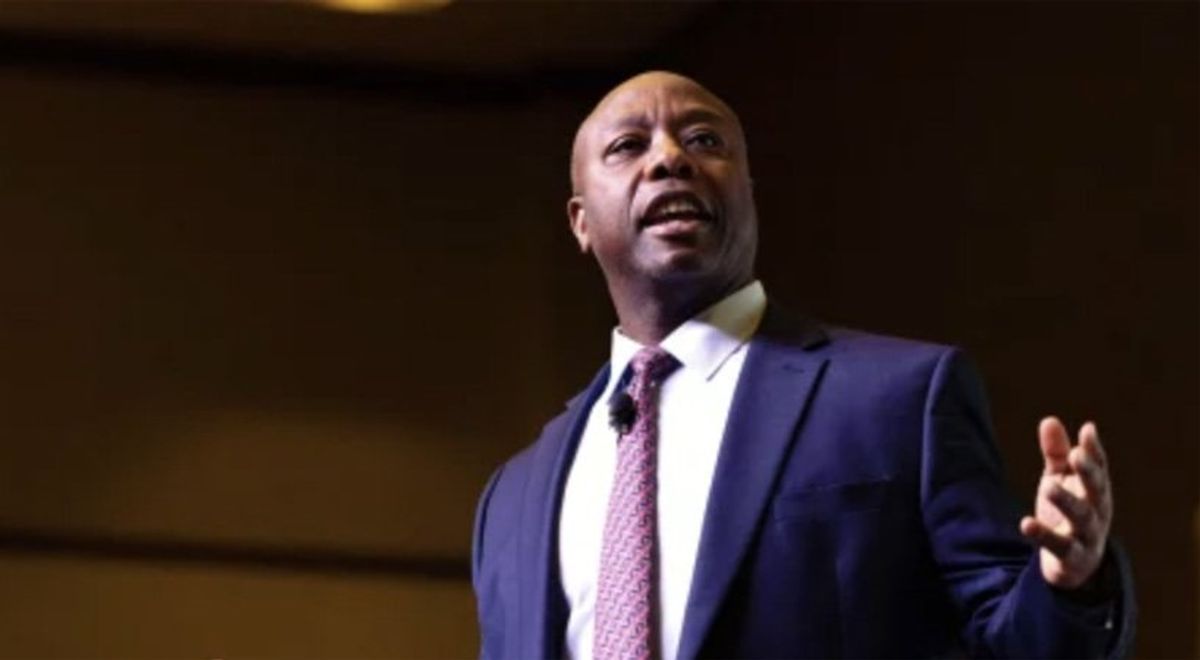 GOP ‘1 percenters’ believe they can enter and win the race for president: report