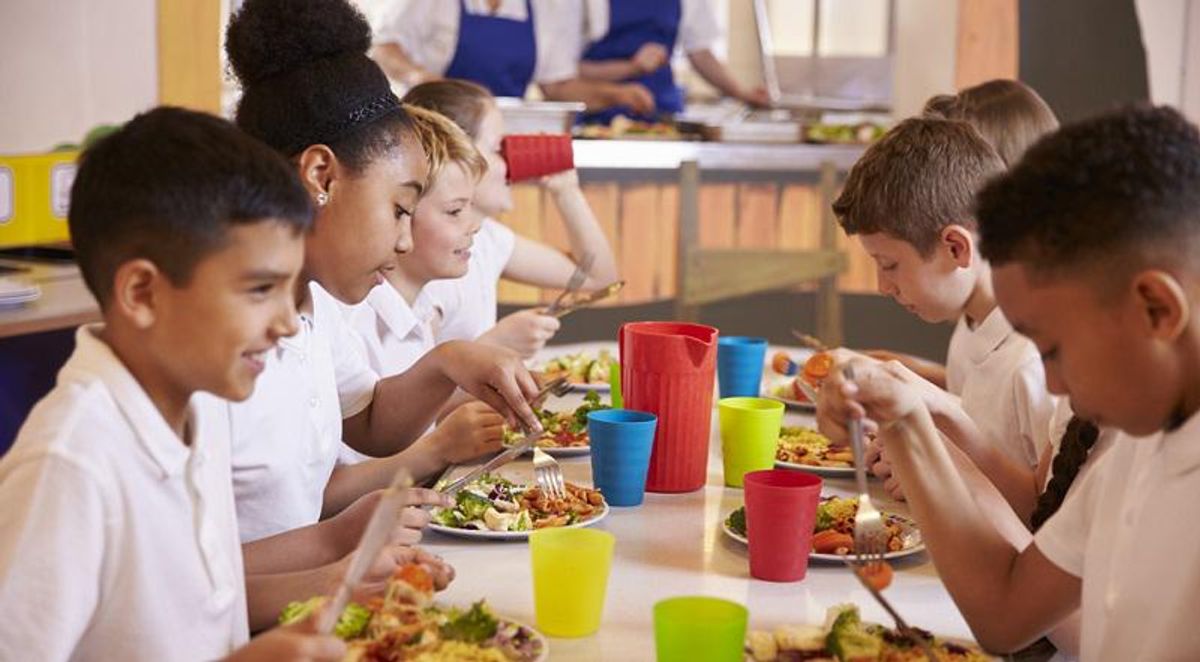 Fox News anchor attacks New Jersey's school nutrition program: 'Kids are going to grow up thinking lunch is free!'