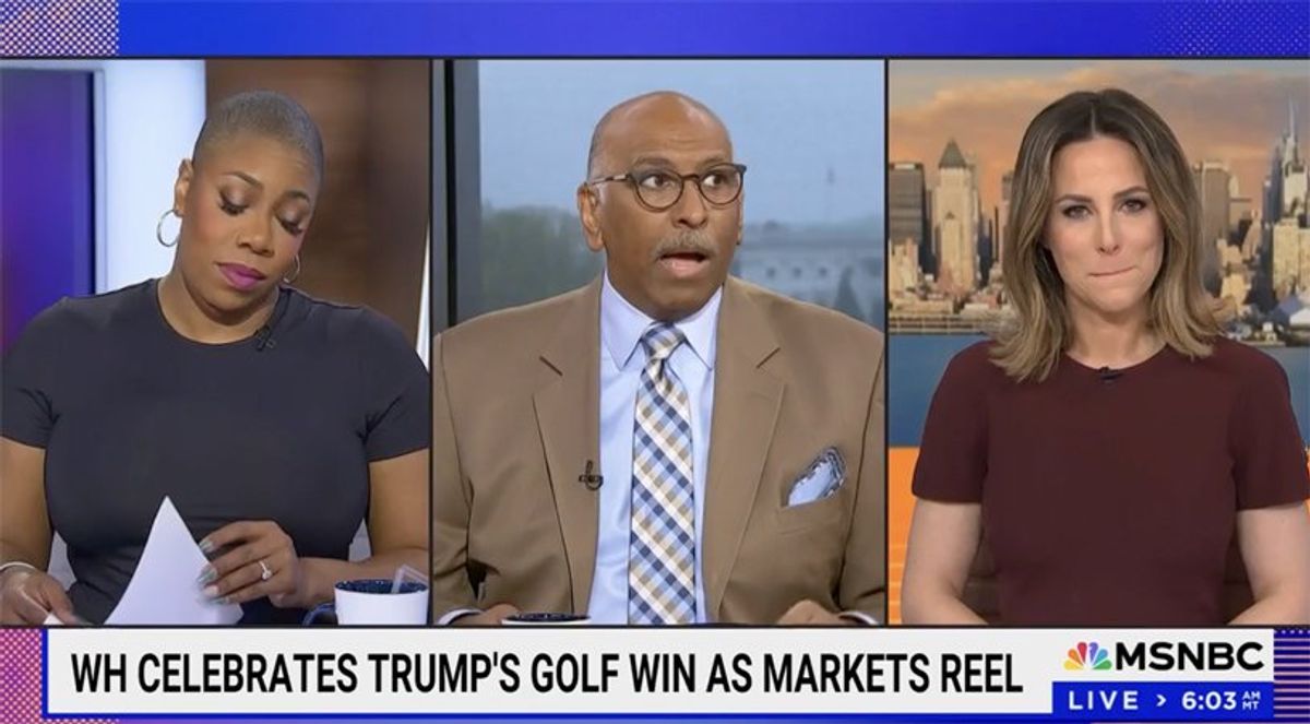 'Dude, you're complicit!' MSNBC's Steele burns down Musk for Saturday whine about tariffs