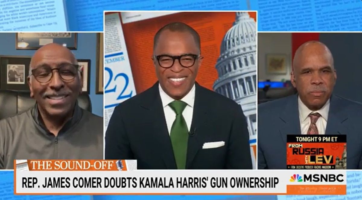 'Dumb behind thinking': Ex-GOP leader was speechless after James Comer's new Harris attack