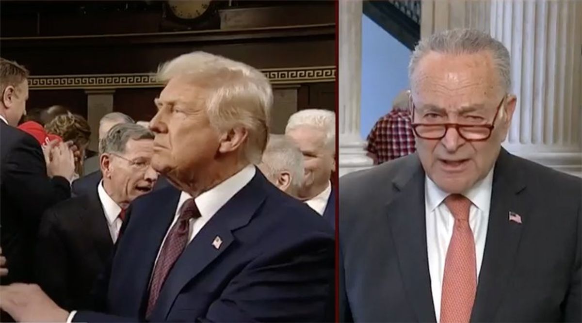 'What is your plan?' Chuck Schumer cornered on MSNBC over failure to confront Trump