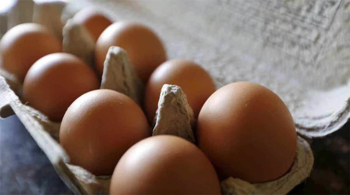 'About to get worse': Why egg prices are set to skyrocket