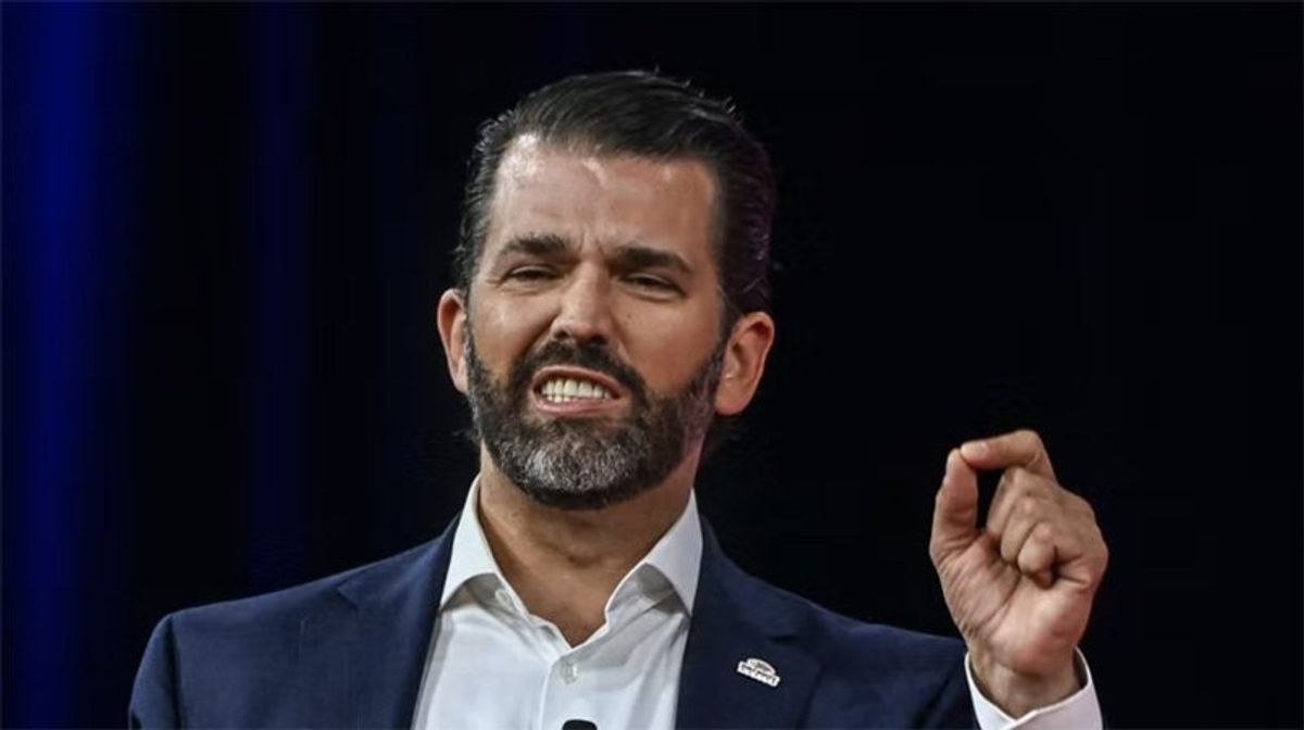 'There wasn't enough insurrection': Donald Trump Jr. suggests DNC and RNC pipe-bomber was a hoax