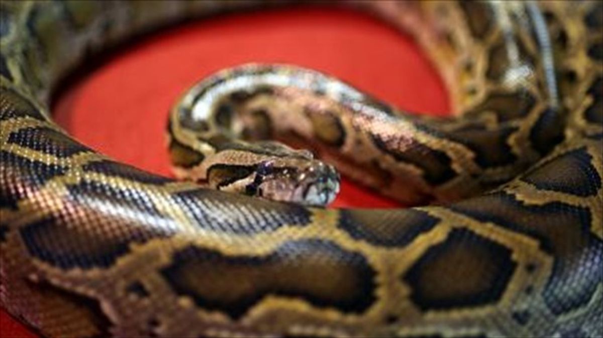 Ex-cop found guilty of killing teen over stolen reptiles: report