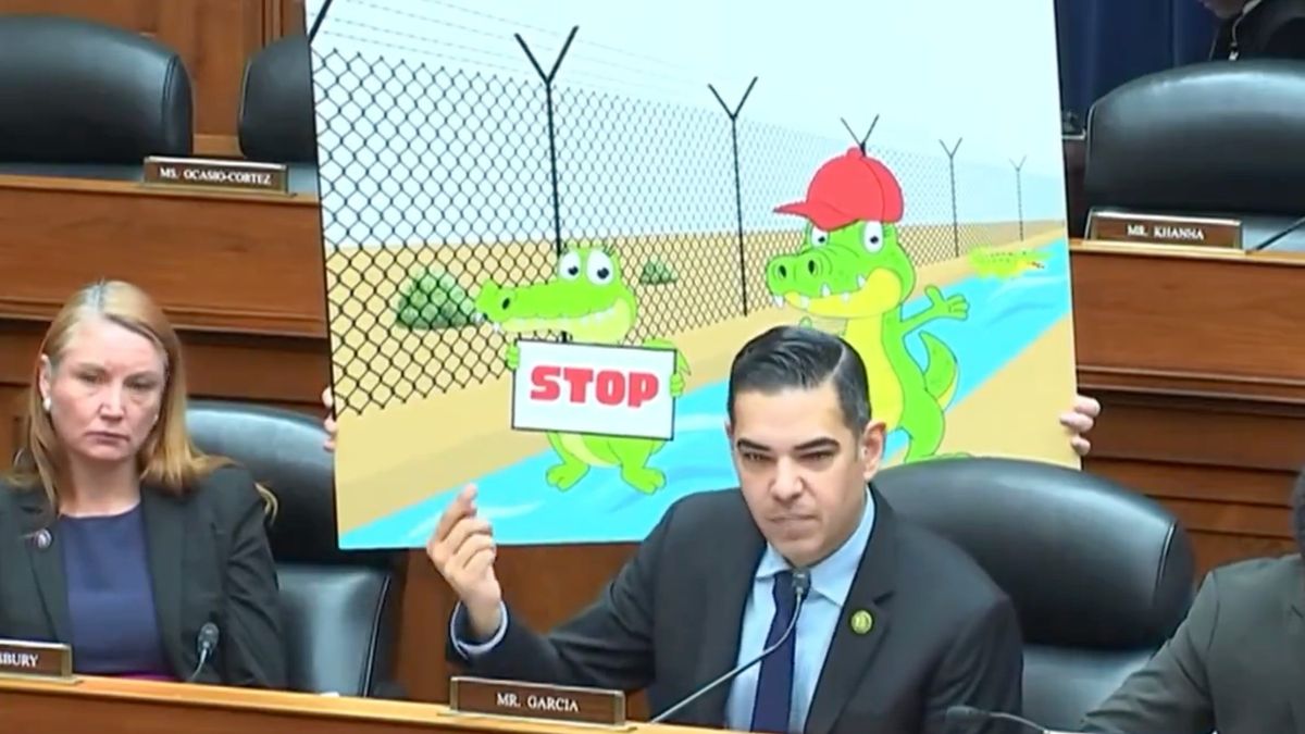 'Excellent sarcasm': Trump roasted in Oversight hearing for alligator moat immigrant plan