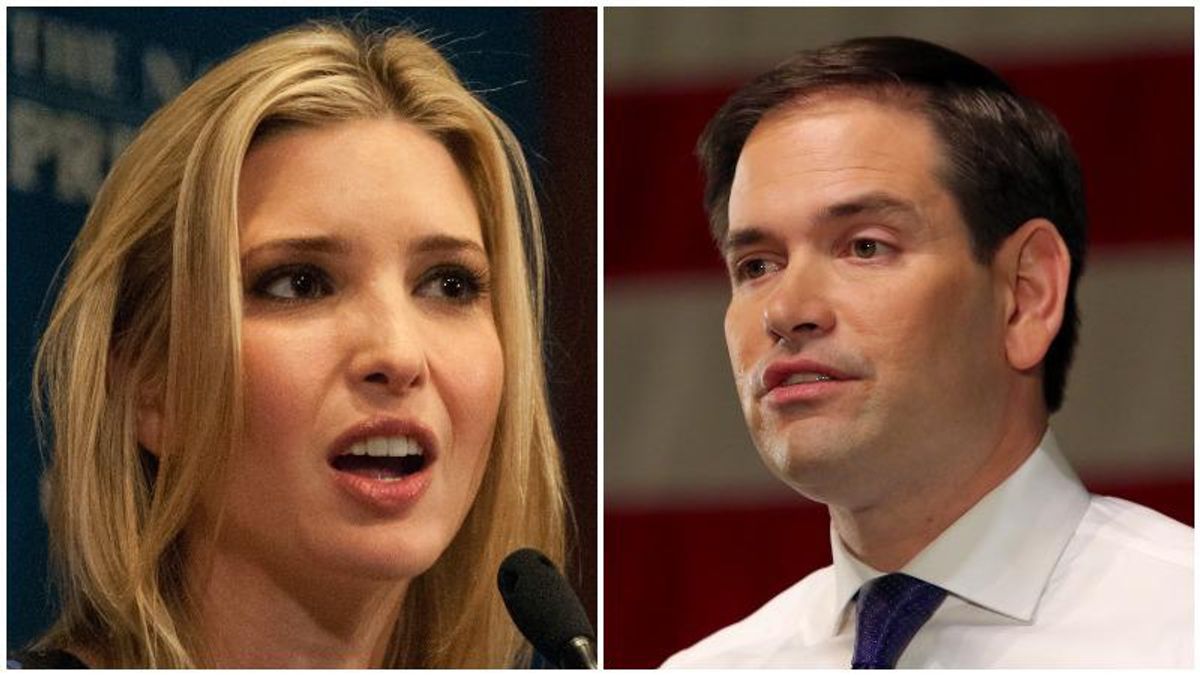 Ivanka Trump won't challenge Marco Rubio for Senate seat: report
