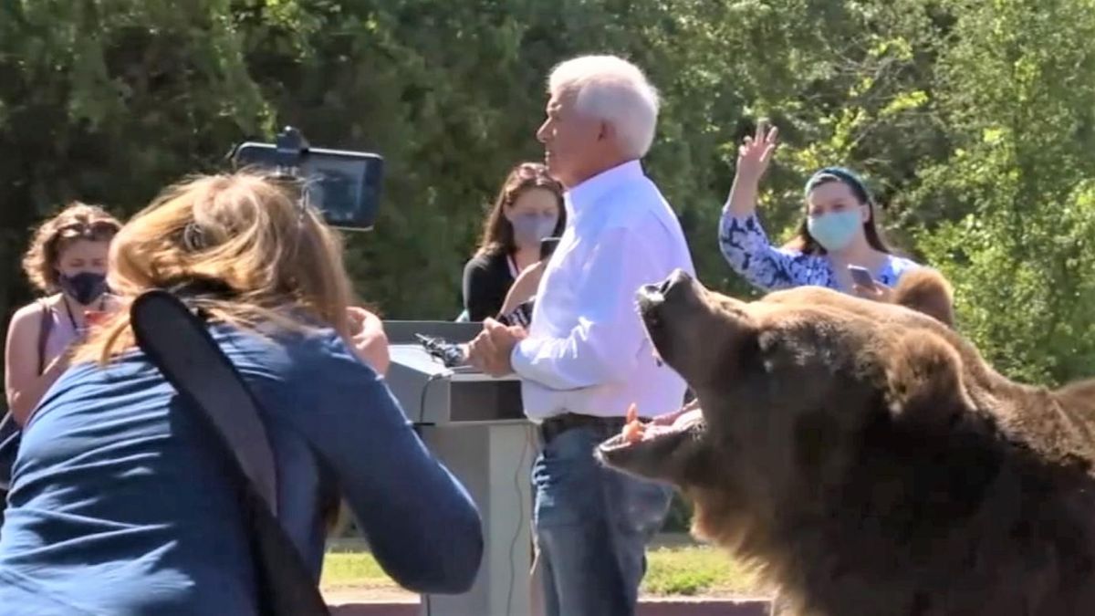 GOP candidate whines that media won't cover his ideas after campaign stunt involving a bear backfires
