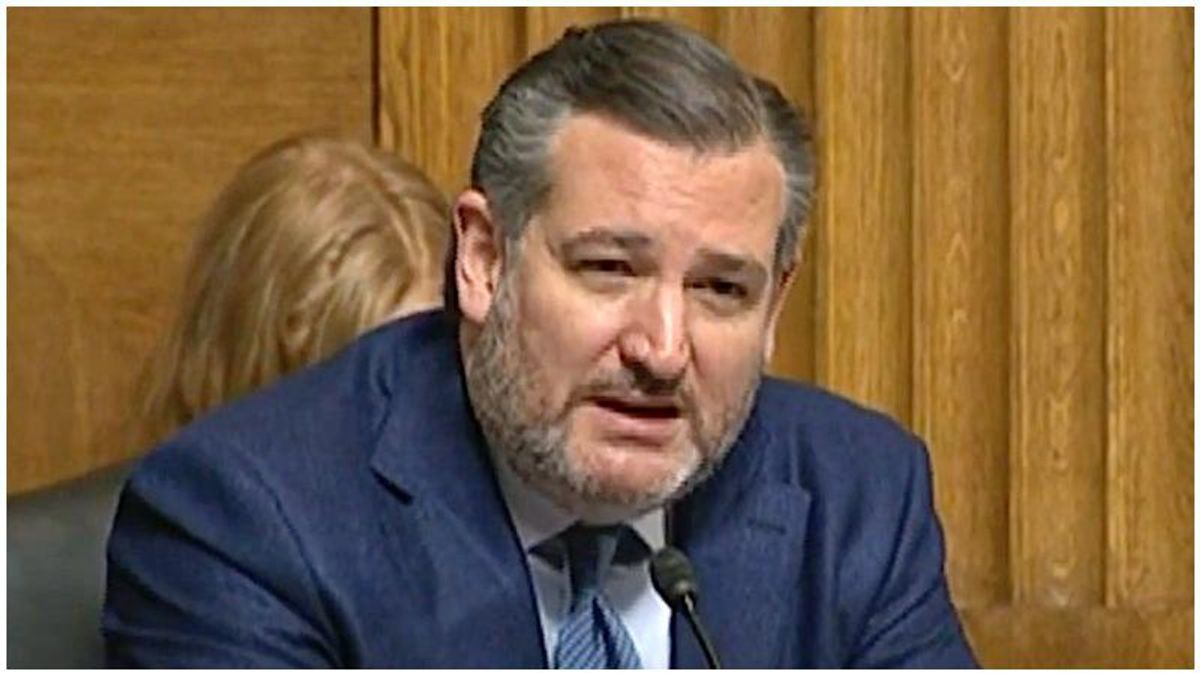 'Idiot' Ted Cruz brutally mocked for his Biden-bashing Breitbart column: 'Shows how hopelessly out of touch he is'