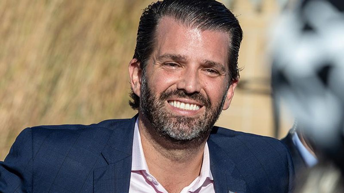 Former federal prosecutor takes down Donald Trump Jr's Fox claim Allen Weisselberg only missed a little bit in taxes