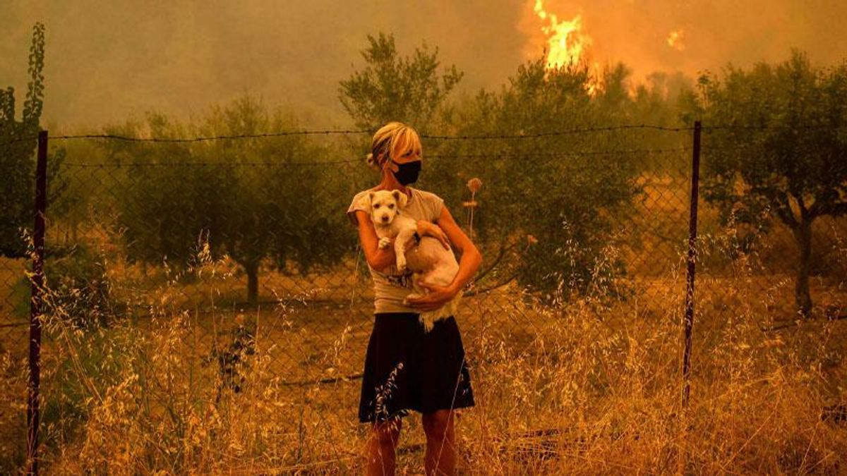 United Nations issues a startling warning: 'Liveable future' at risk