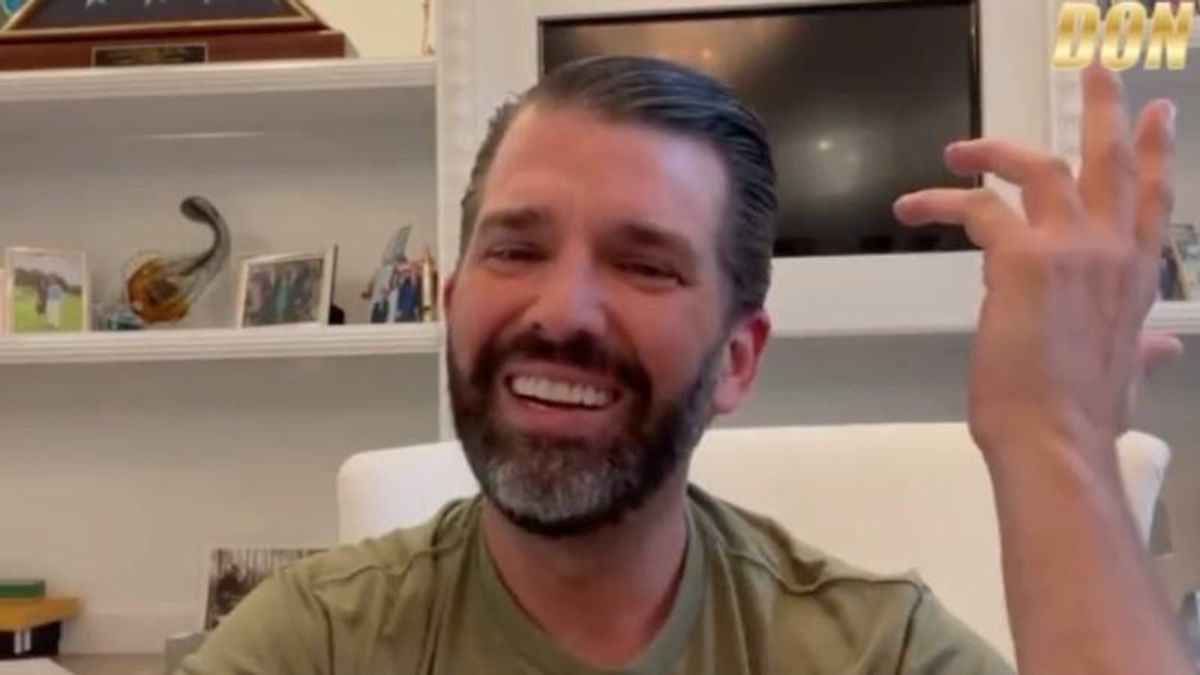 'Played them like a fiddle!' Don Trump Jr insists his dad's gushing praise of Putin and Kim was psychological warfare