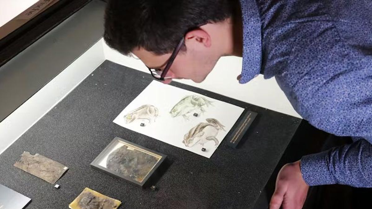 Ancient frogs in mass grave died from too much sex, according to new research