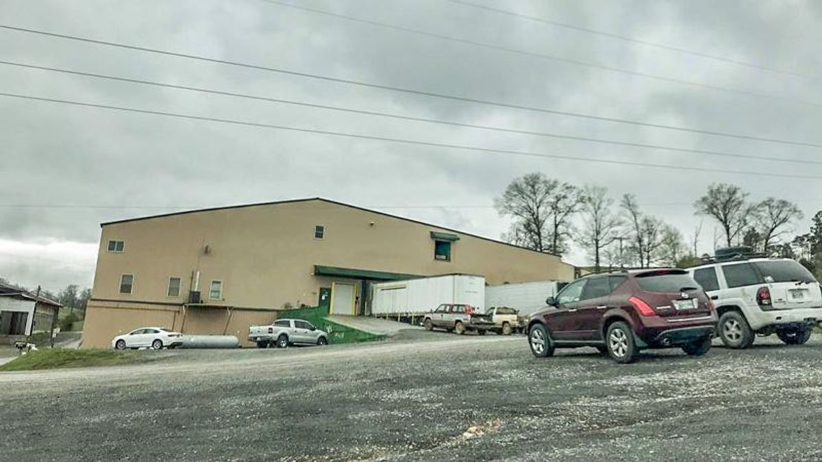 Video confirms abuse of immigrants by federal agents in East Tennessee slaughterhouse raid