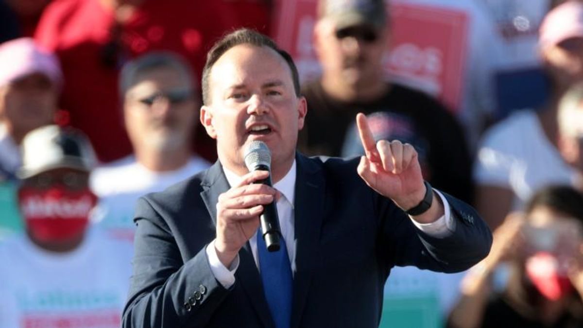'Liz Cheney is taking Mike Lee to Church' on his past claim about Trump's 'illegal' acts