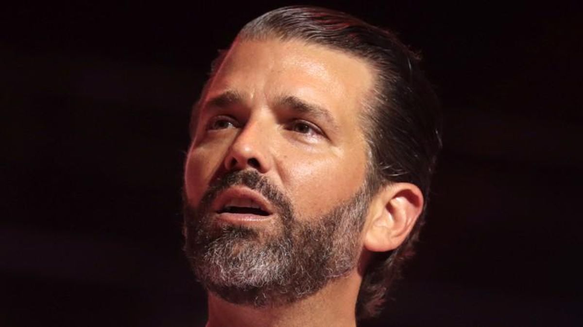 Donald Trump Jr. spreads conspiracy theory about Mitch McConnell and Blake Masters