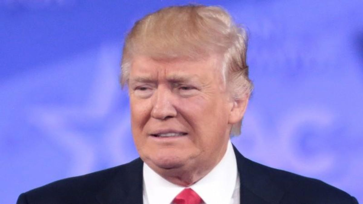 A ‘funeral oration’: Noted presidential historian slams Trump's ‘sad and listless’ announcement