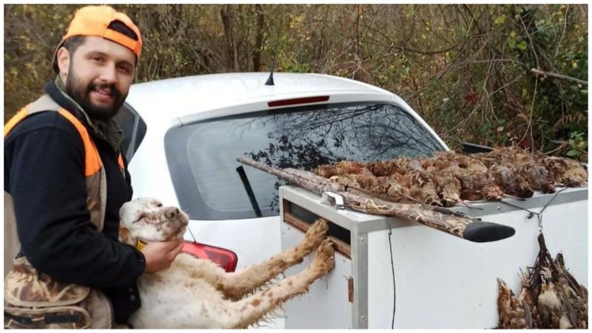 Hunter killed when his dog's paw touches trigger of loaded shotgun