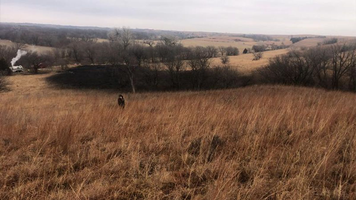 Keystone pipeline owner blames Kansas spill on faulty weld, estimates $480M remediation cost