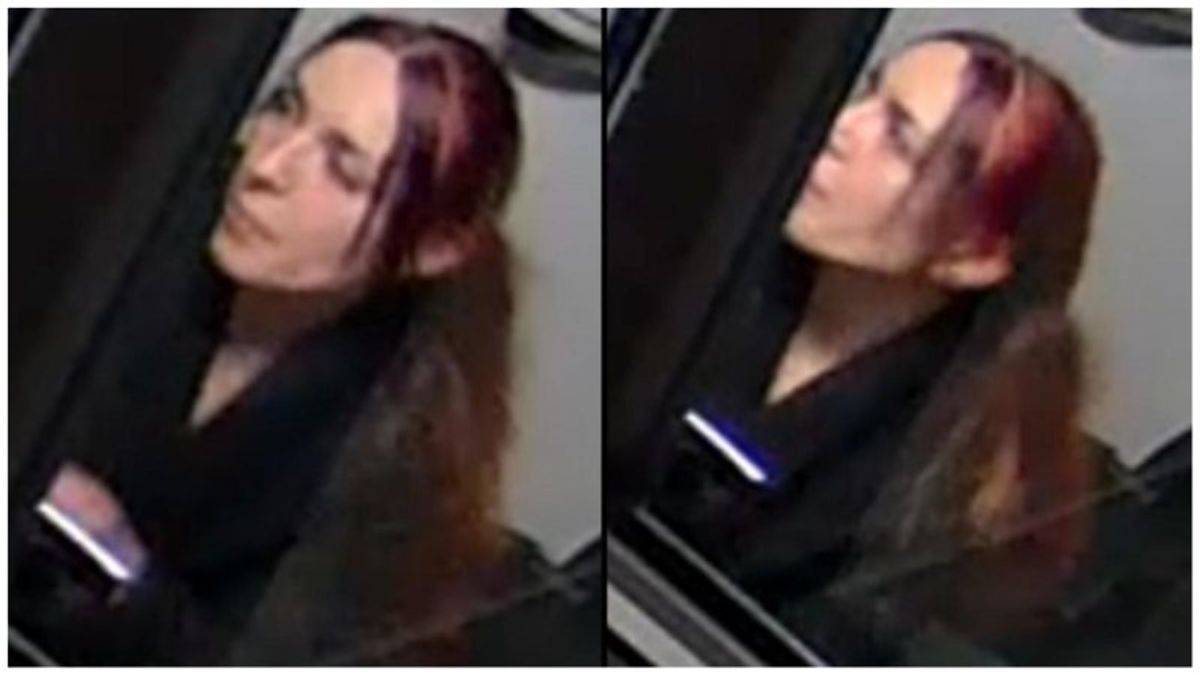 Woman who set gay pride flag on fire melts down during court proceedings