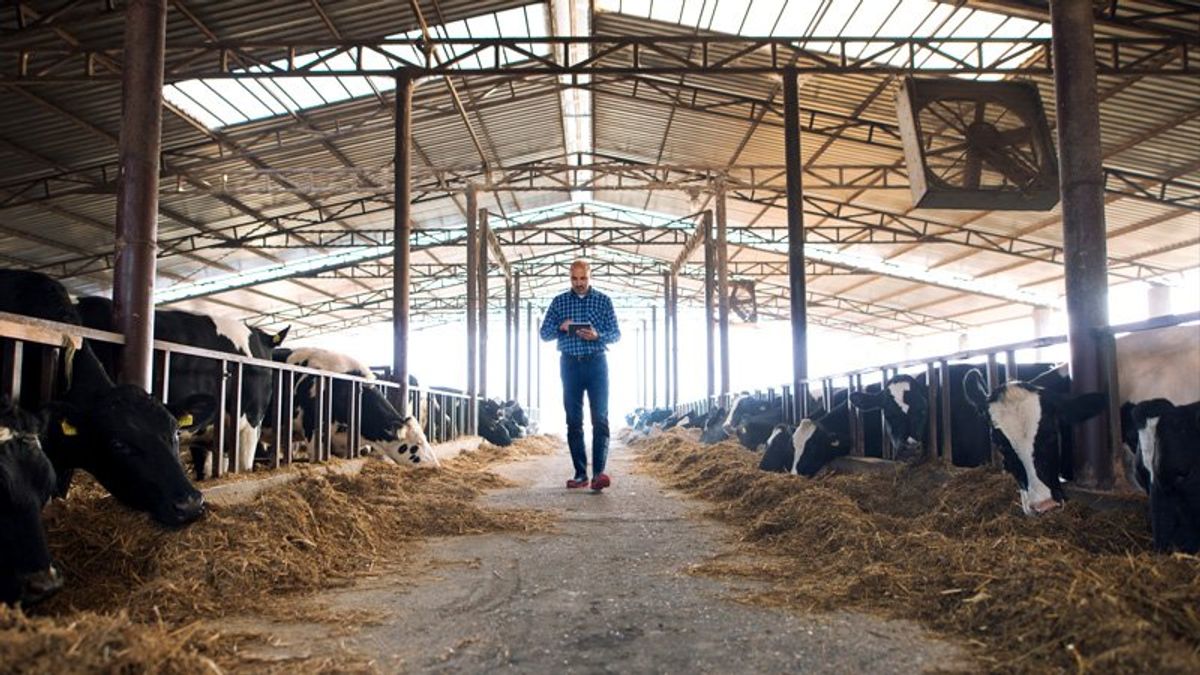 Death on a dairy farm: What really happened to 8-year-old Jefferson Rodríguez