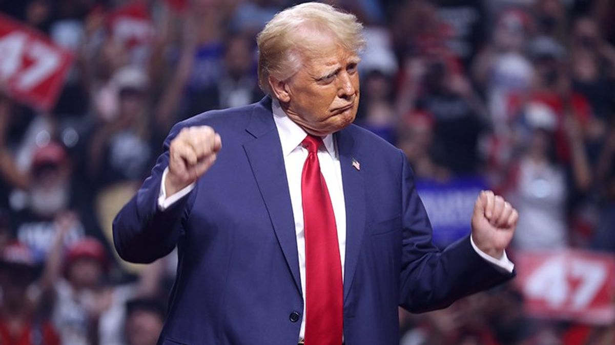 Progressive activists inadvertently gave Trump his best ad against Harris: columnist