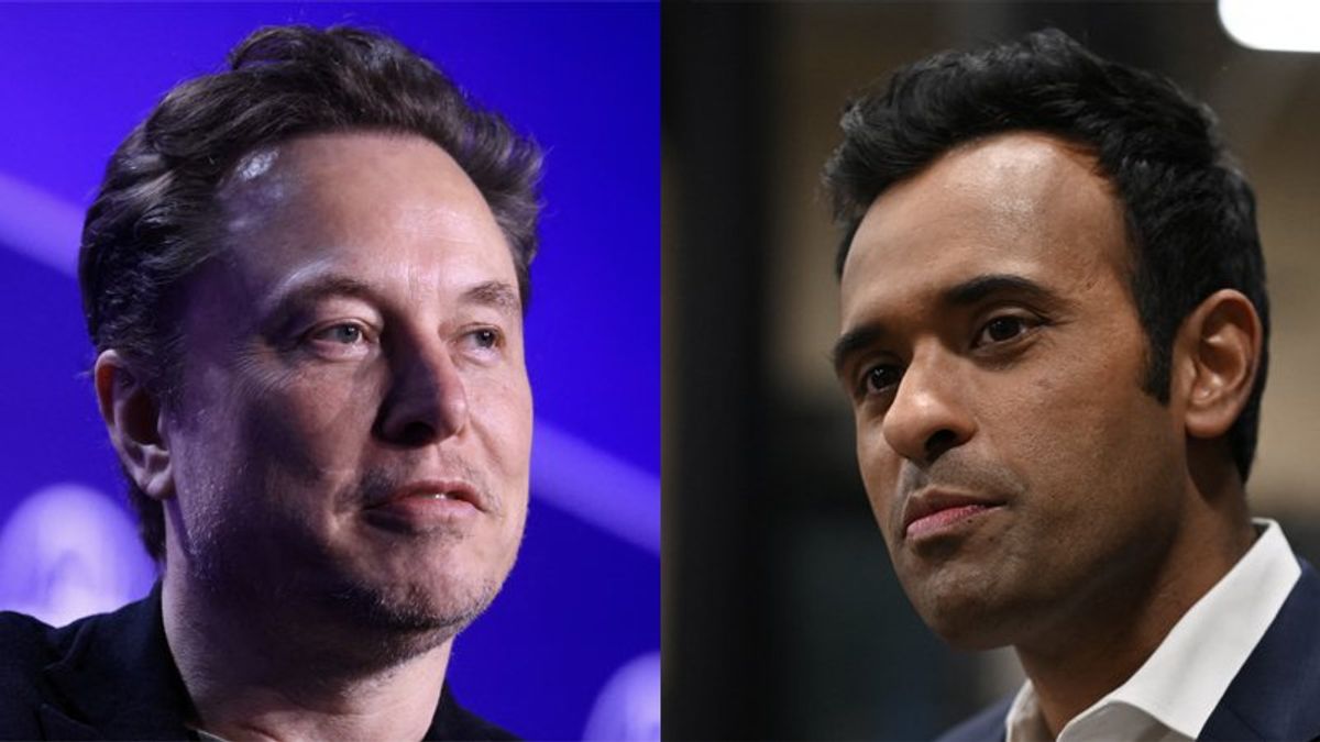 'Hey, you can’t do this': Expert blows hole in Musk and Ramaswamy's big plans