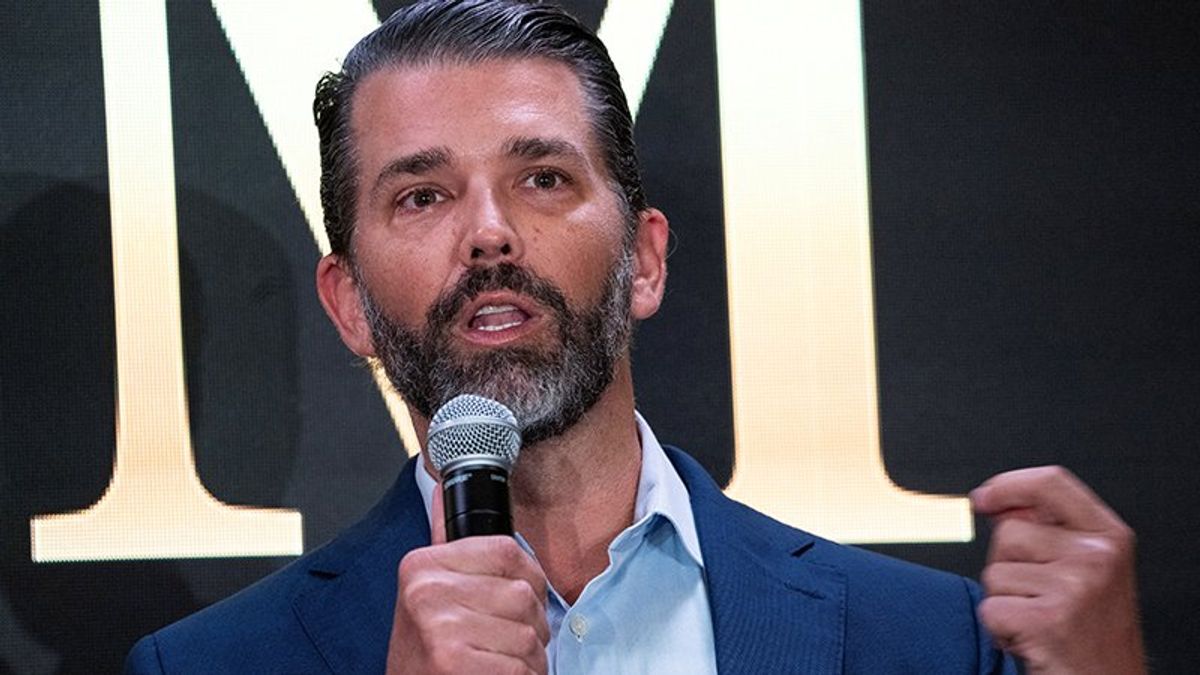 'Too dumb to be corrupt': Donald Trump Jr. mocked over vow his dad isn't a crook