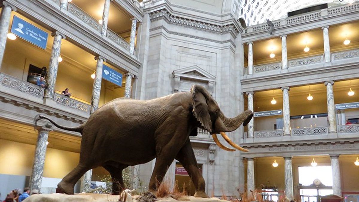 Trump orders 'far-reaching review' to ensure Smithsonian exhibits reflect his values