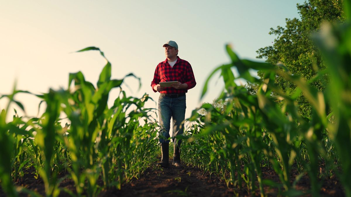'There'd better be results': Devastated farmers warn Trump they're close to rebelling