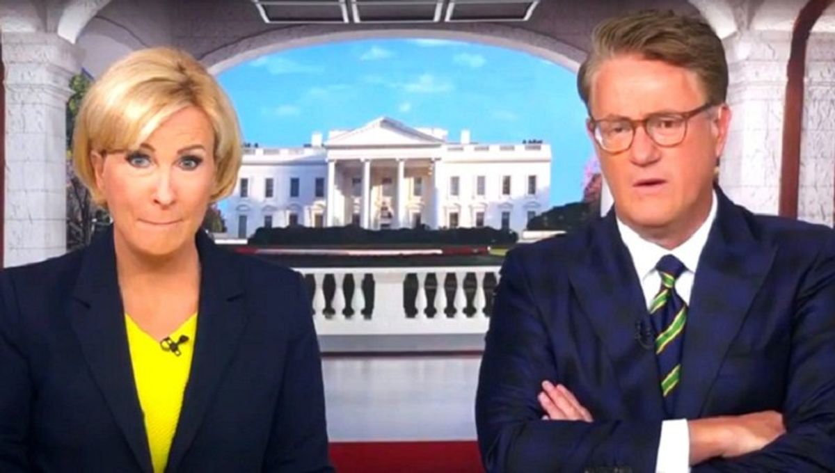 'He's just so stupid': Morning Joe panel can't hide disgust with latest Trump 'crazy lies'