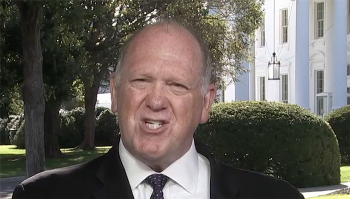 'A ridiculous thing to say!' Tom Homan loses it on MSNBC over 'disappearing' immigrants