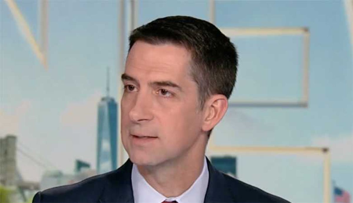 Tom Cotton rants Dems want to sic their 'street militias' on ICE wives and kids