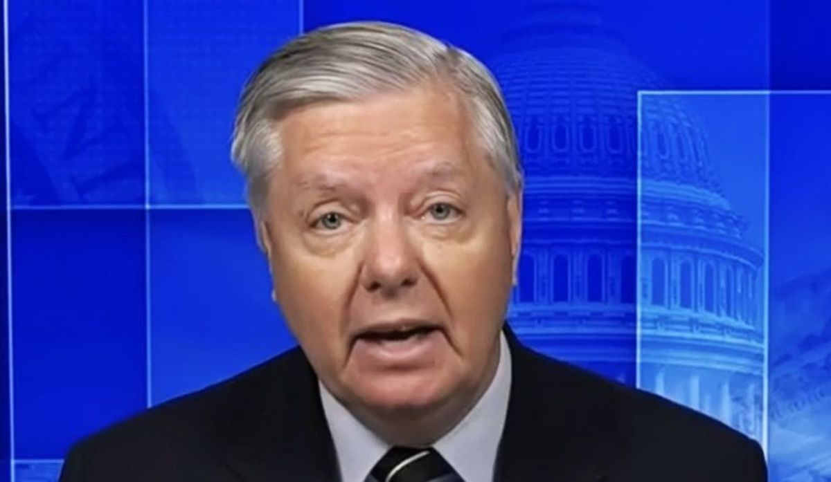 'Stupid, foolish and insane' Lindsey Graham slammed for manic defenses of Trump