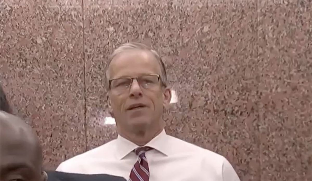 'Tells us a lot': MSNBC hosts pounce on John Thune for 'revealing' answer to reporter